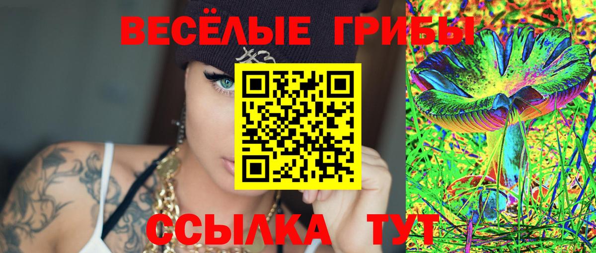 Псилоцибиновые грибы мицелий  Вход с VPN  Кунгур  Псилоцибиновые грибы Magic Shrooms 