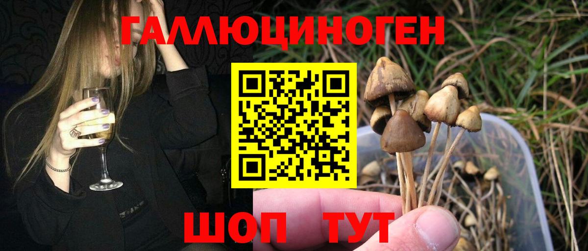 Псилоцибиновые грибы MAGIC MUSHROOMS Кунгур